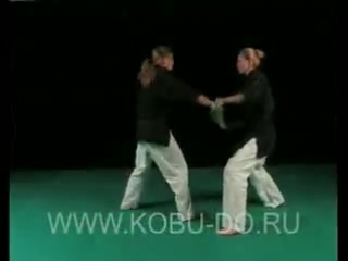 kobudo - hōjō-jutsu fast binding techniques