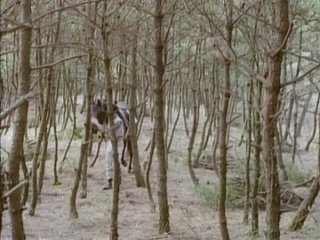 horse, woman and dog (1990)